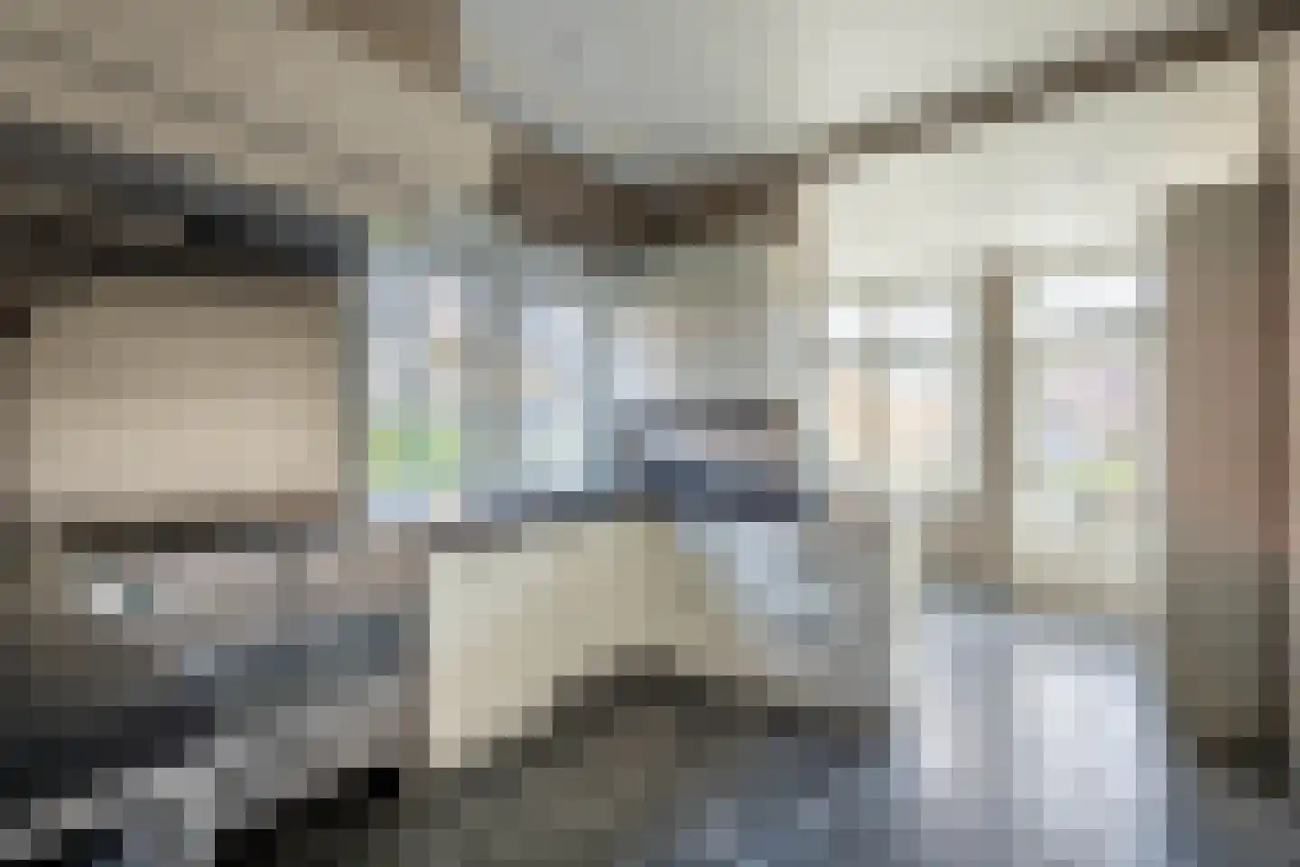 Madelievenlaan 9 Aerdenhout thumbnail 11