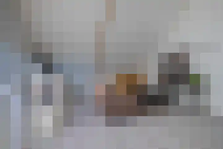 Madelievenstraat 61 Arnhem thumbnail 30