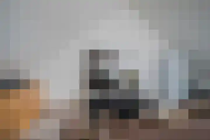 Madelievenstraat 61 Arnhem thumbnail 31