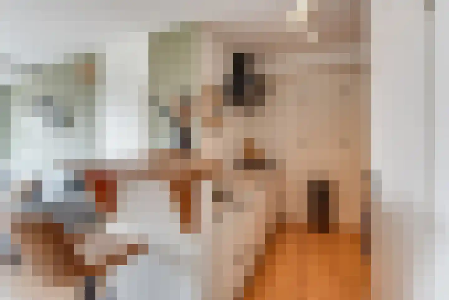 Madelinushof 14 Wijk bij Duurstede thumbnail 11