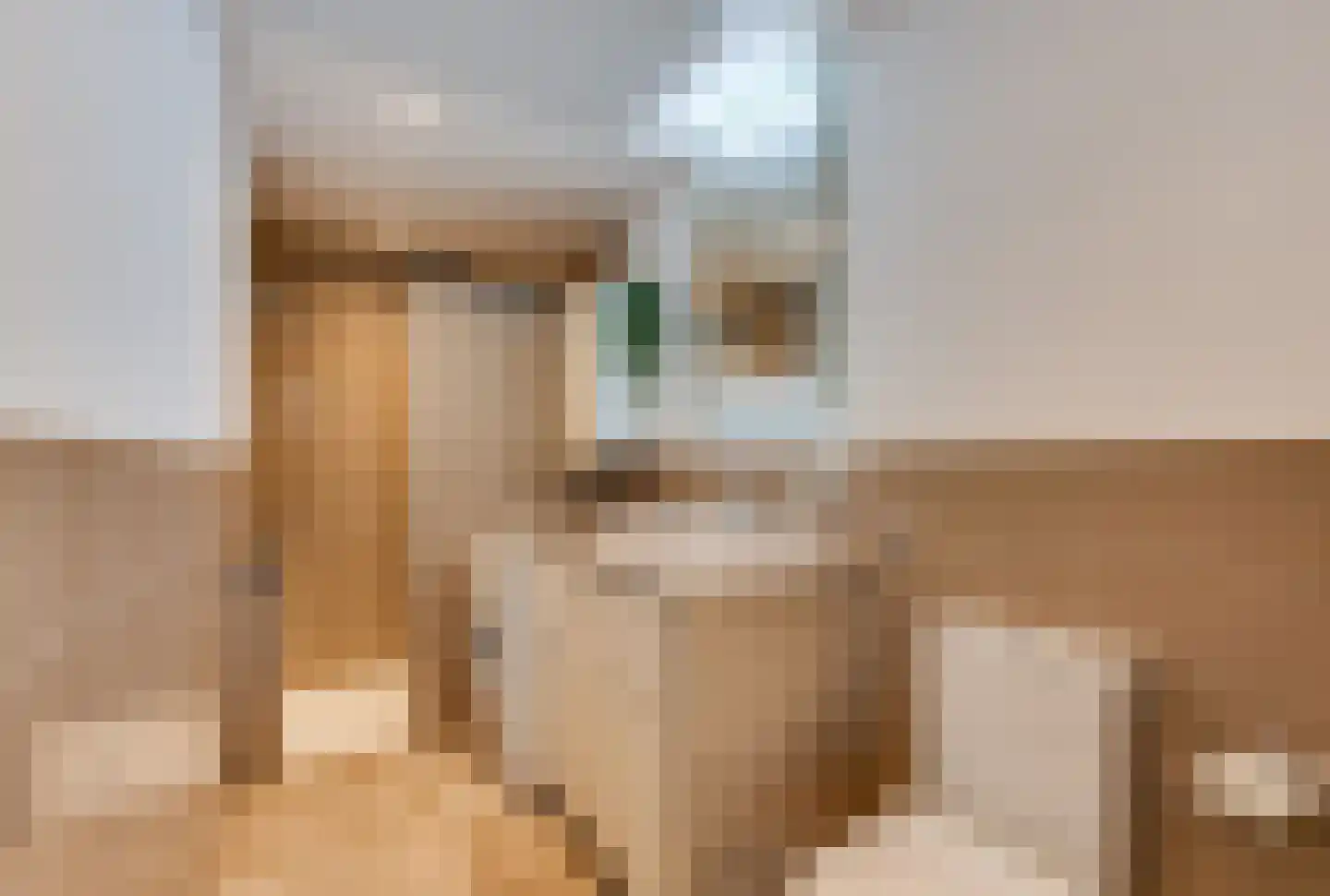Madelinushof 14 Wijk bij Duurstede thumbnail 15