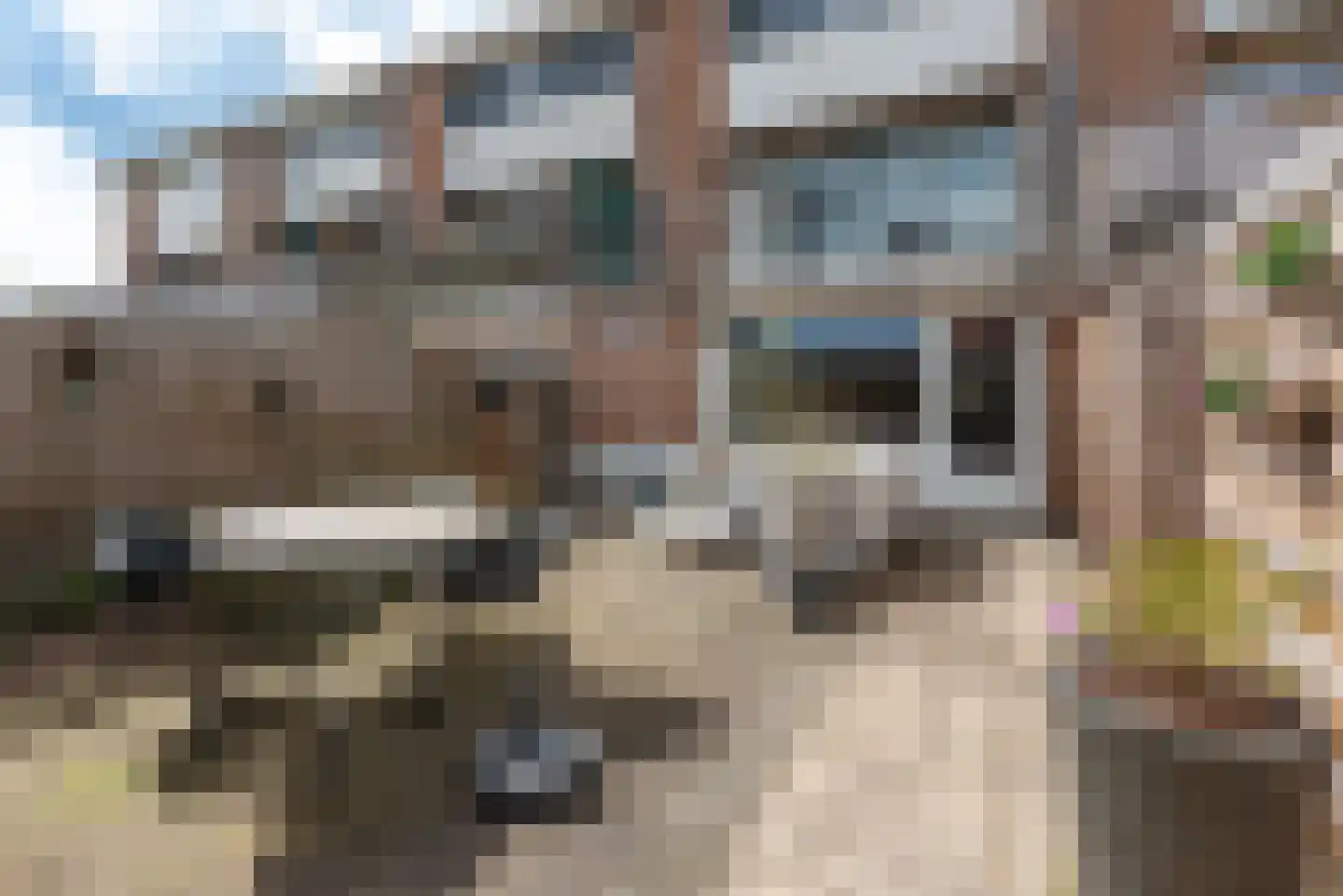 Madelinushof 14 Wijk bij Duurstede thumbnail 20