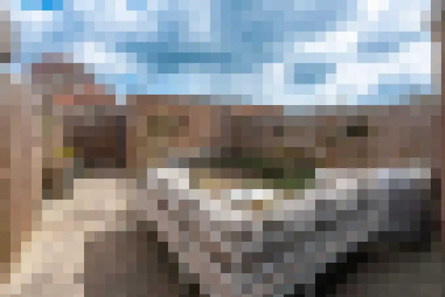 Madelinushof 14 Wijk bij Duurstede thumbnail 21