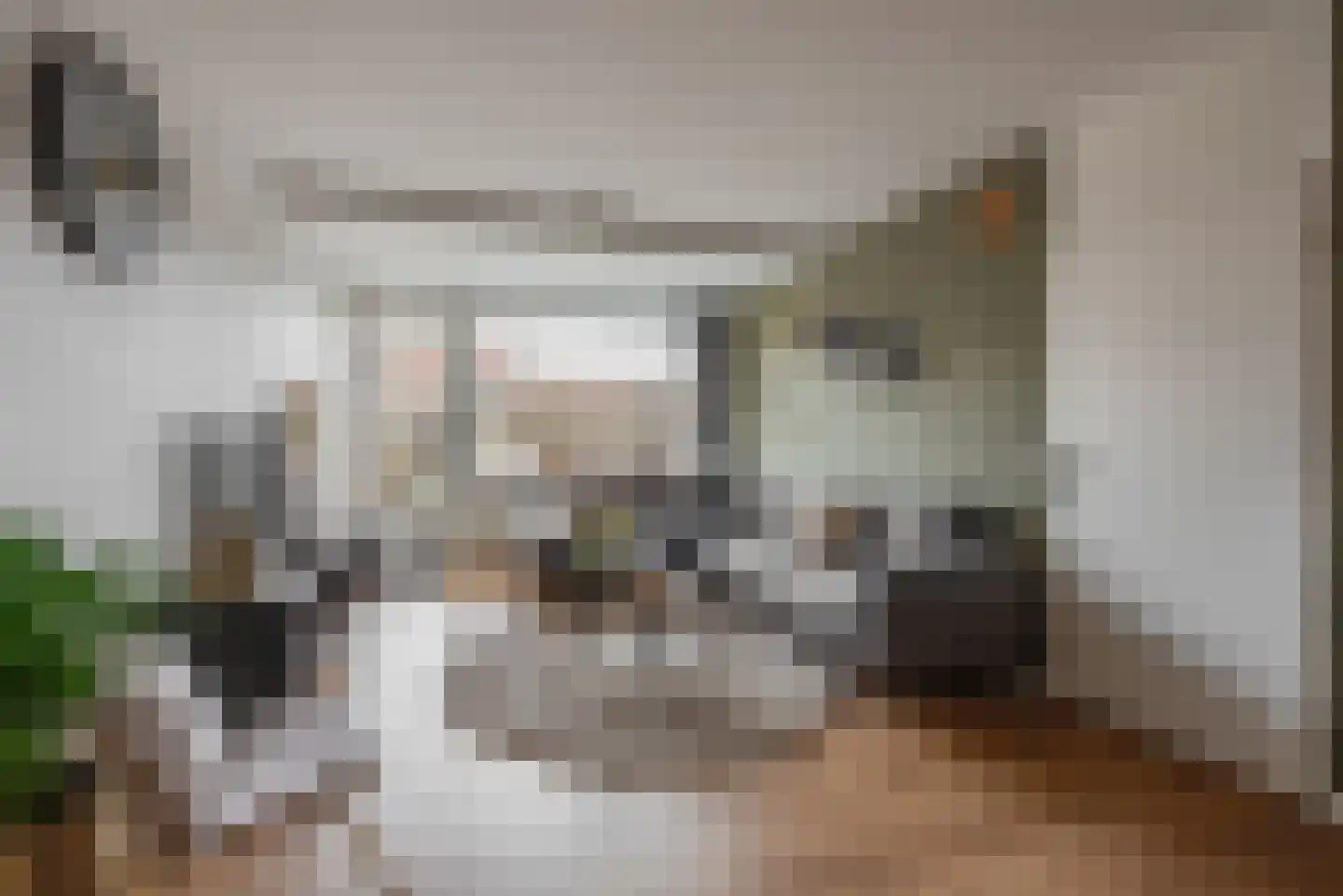 Madelinushof 14 Wijk bij Duurstede thumbnail 7