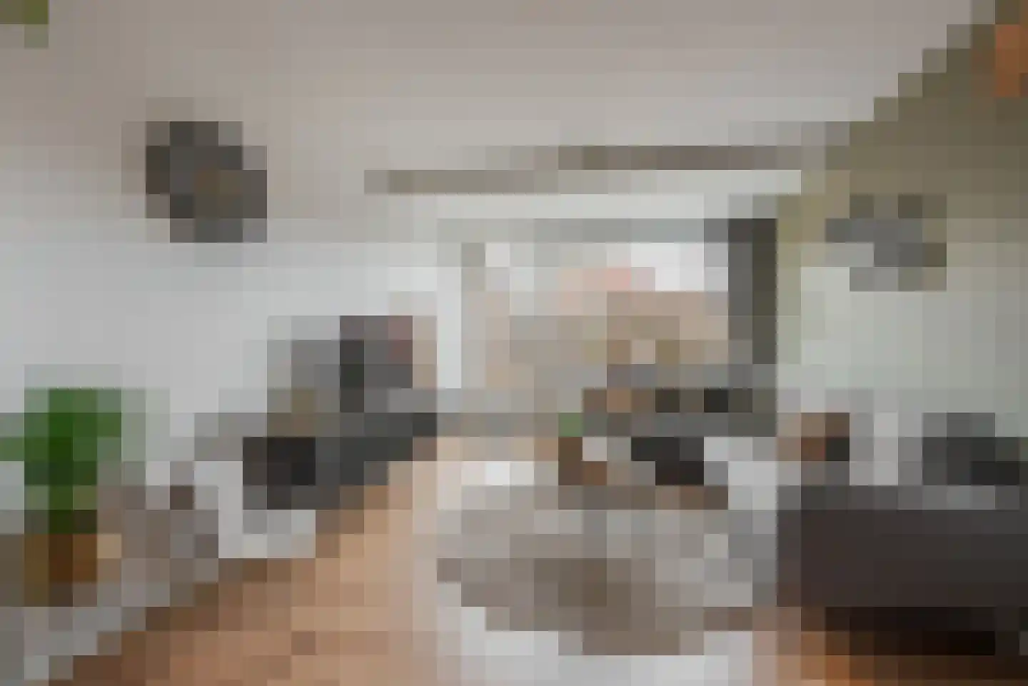 Madelinushof 14 Wijk bij Duurstede thumbnail 8