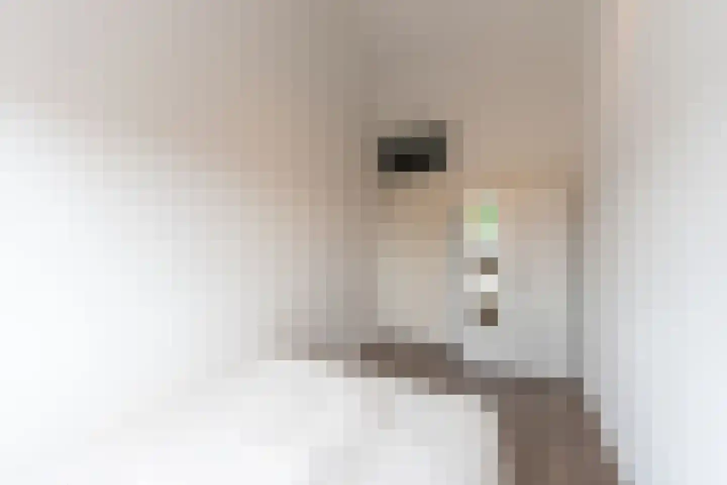 Madelinushof 21 Wijk bij Duurstede thumbnail 22