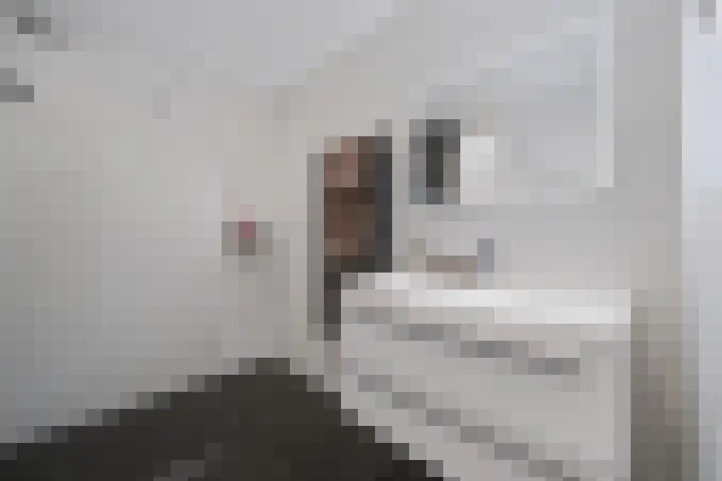 Madelon Lulofsstraat 19 Spijkenisse thumbnail 5