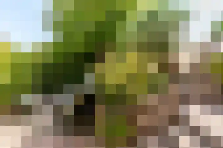 Madernastraat 5 Almere thumbnail 26