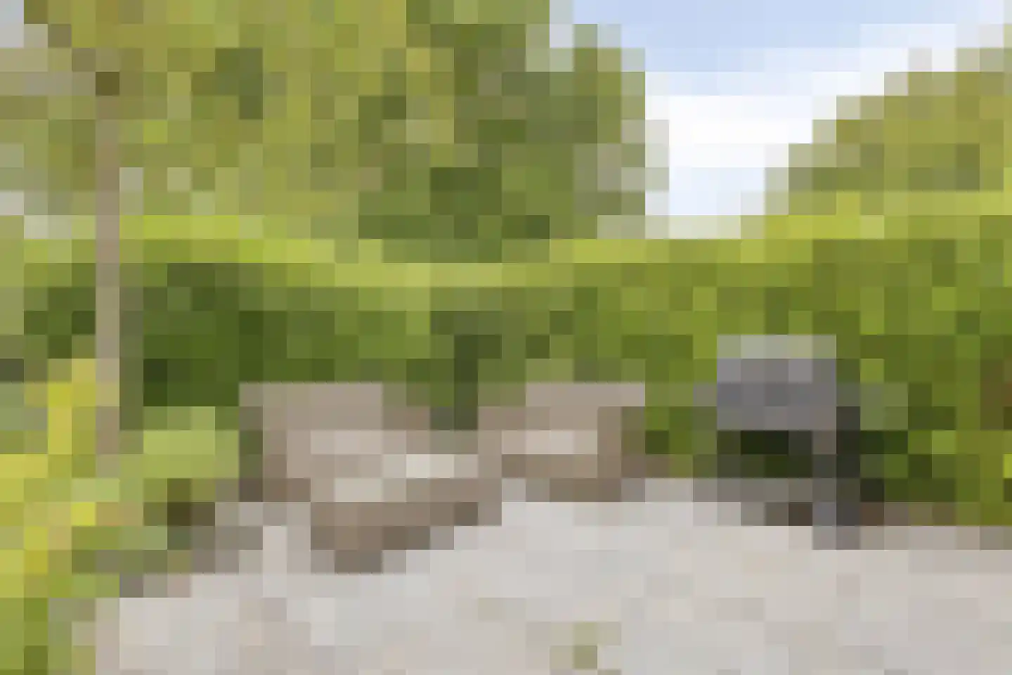 Madernastraat 95 Almere thumbnail 47