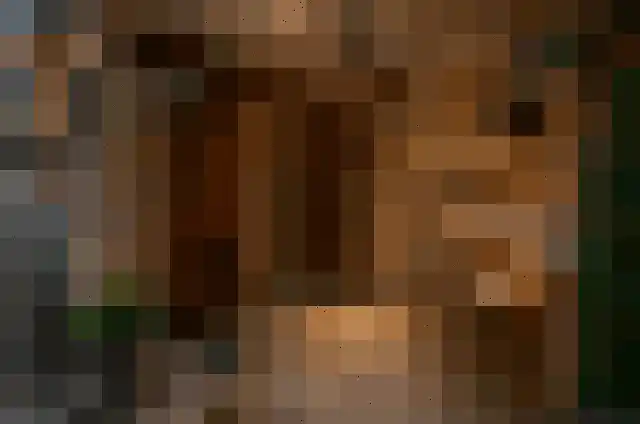 Madeweg 26 Monster thumbnail 14