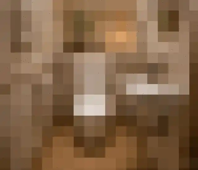 Madeweg 26 Monster thumbnail 18