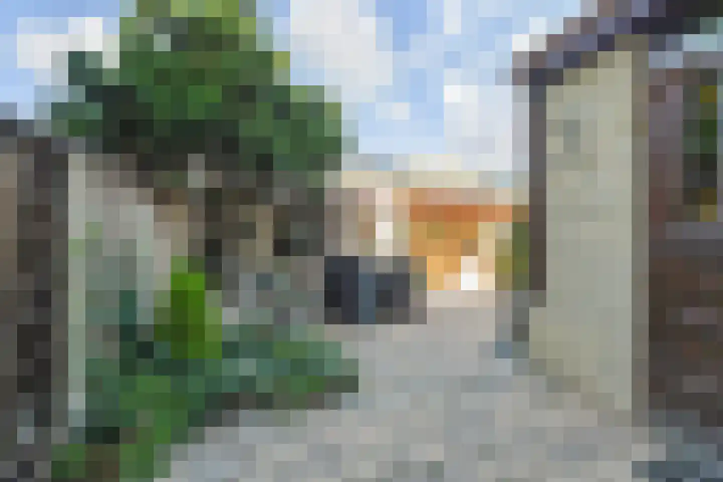 Madeweg 26 Monster thumbnail 19