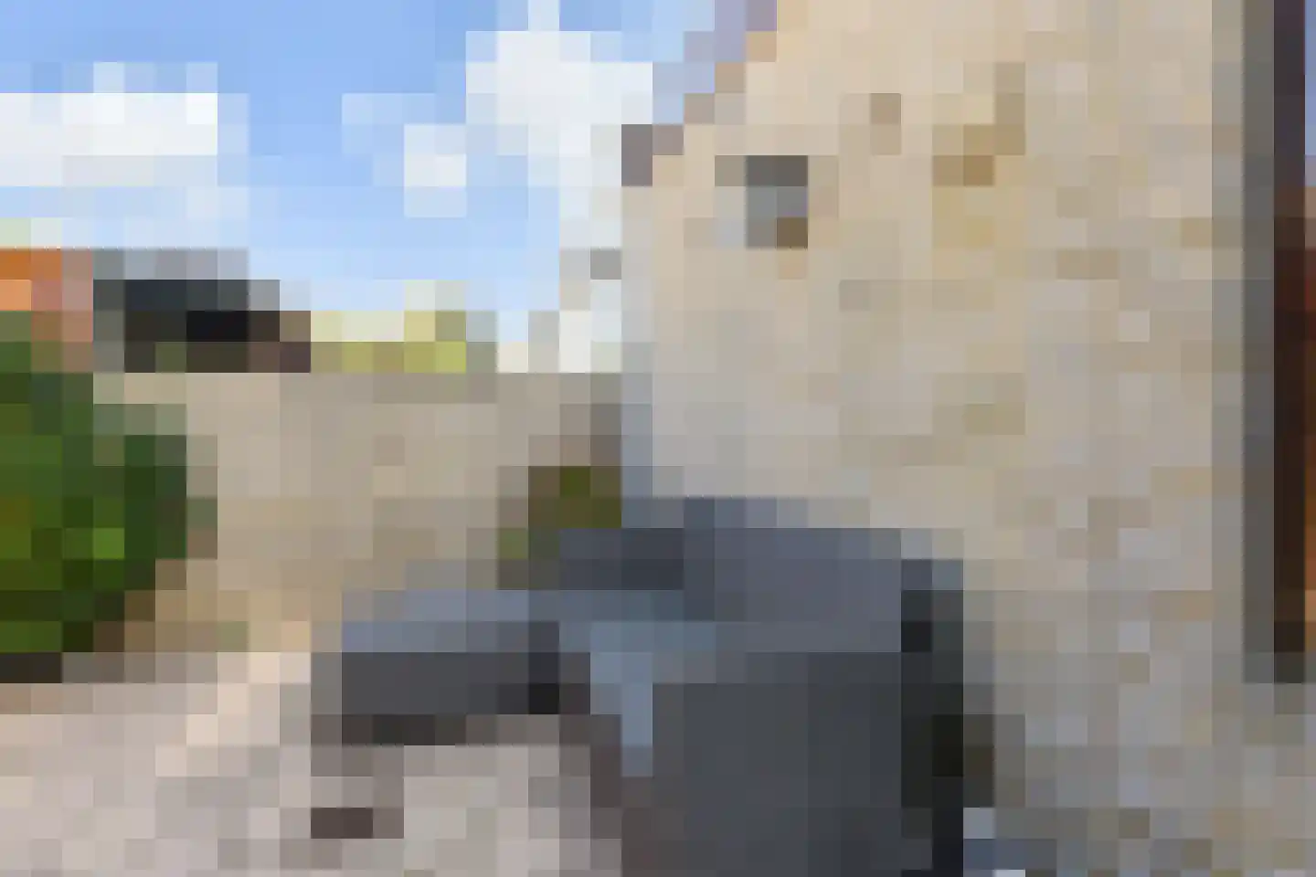 Madeweg 26 Monster thumbnail 22