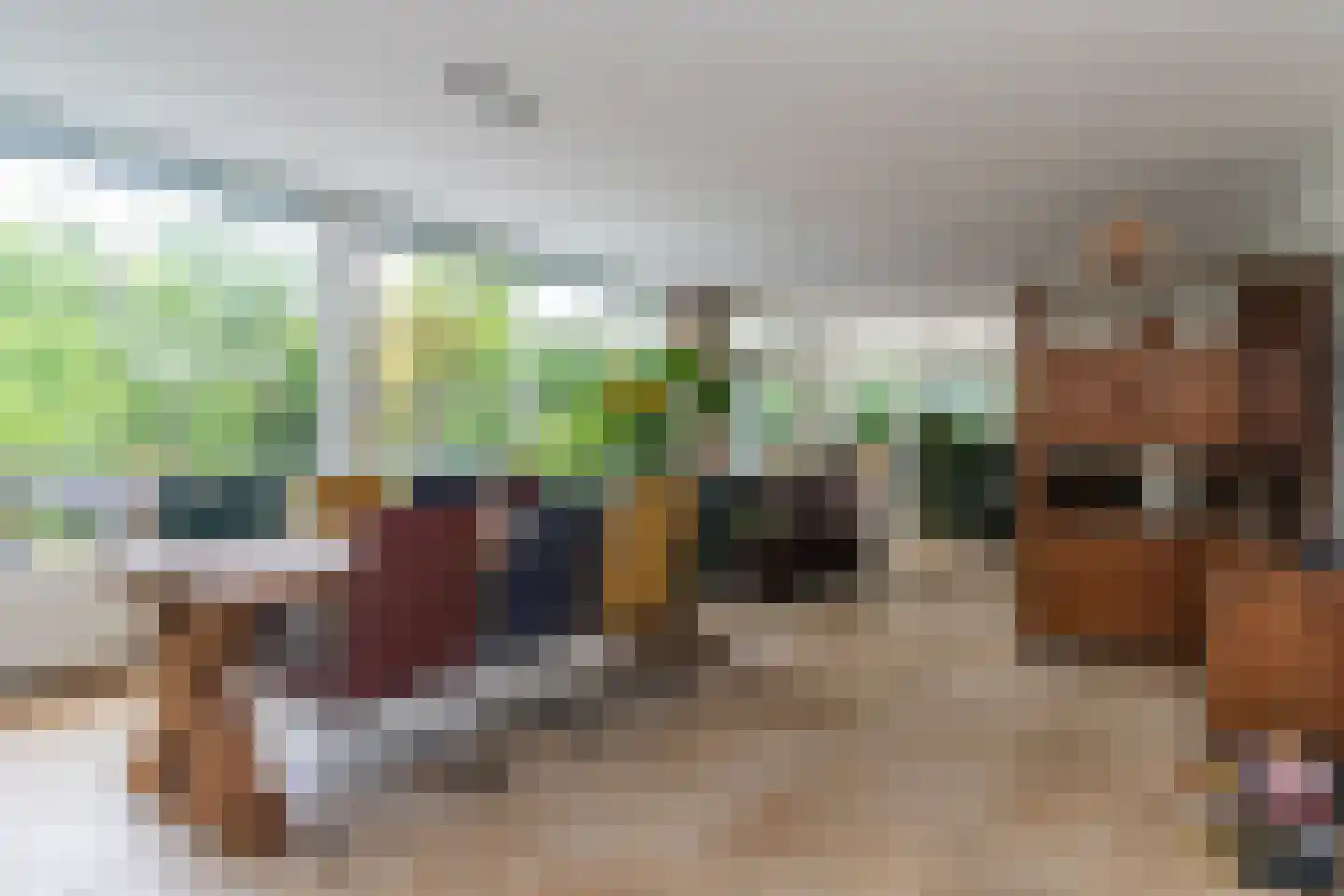 Madeweg 29 Monster thumbnail 10