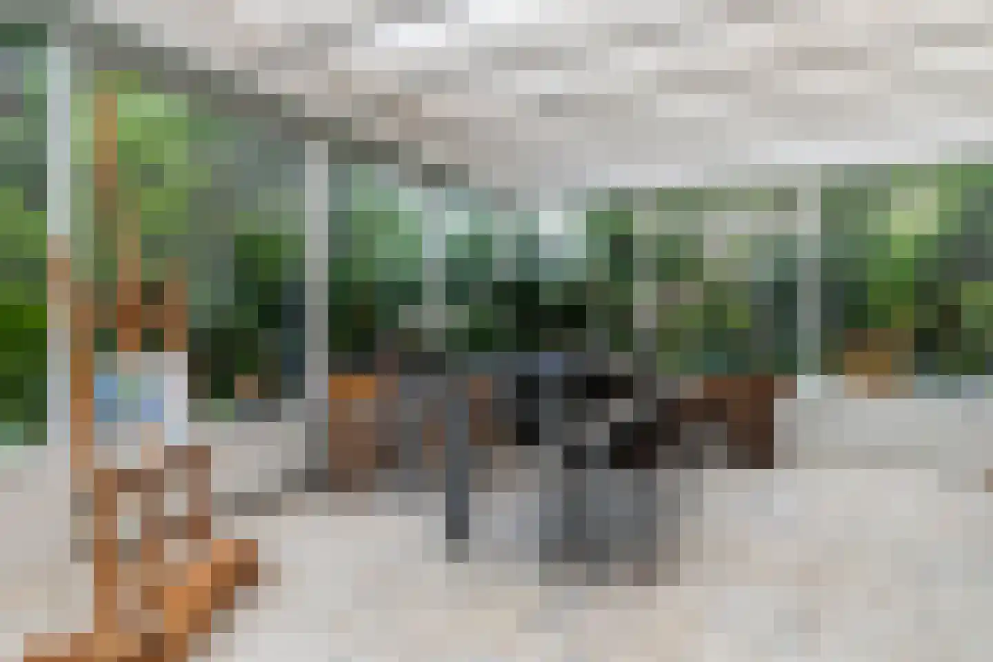 Madeweg 29 Monster thumbnail 27