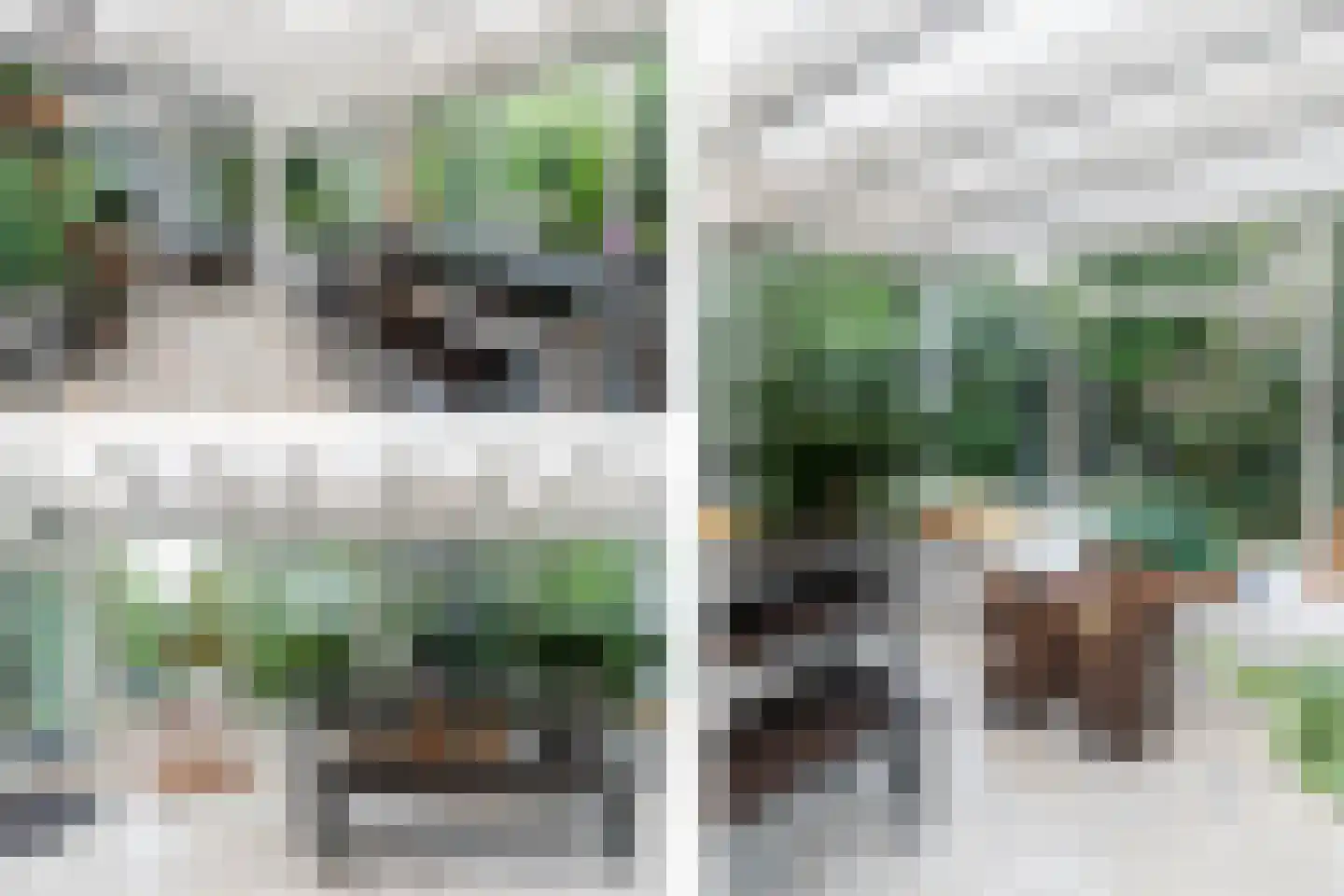 Madeweg 29 Monster thumbnail 28