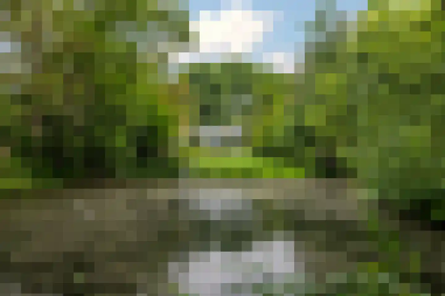 Madeweg 29 Monster foto 3