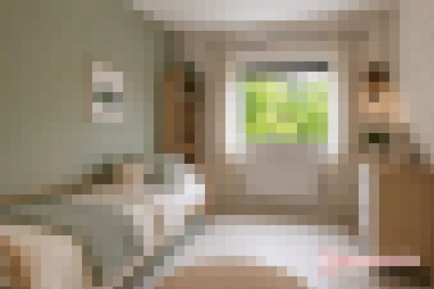 Madeweg 29 Monster thumbnail 44