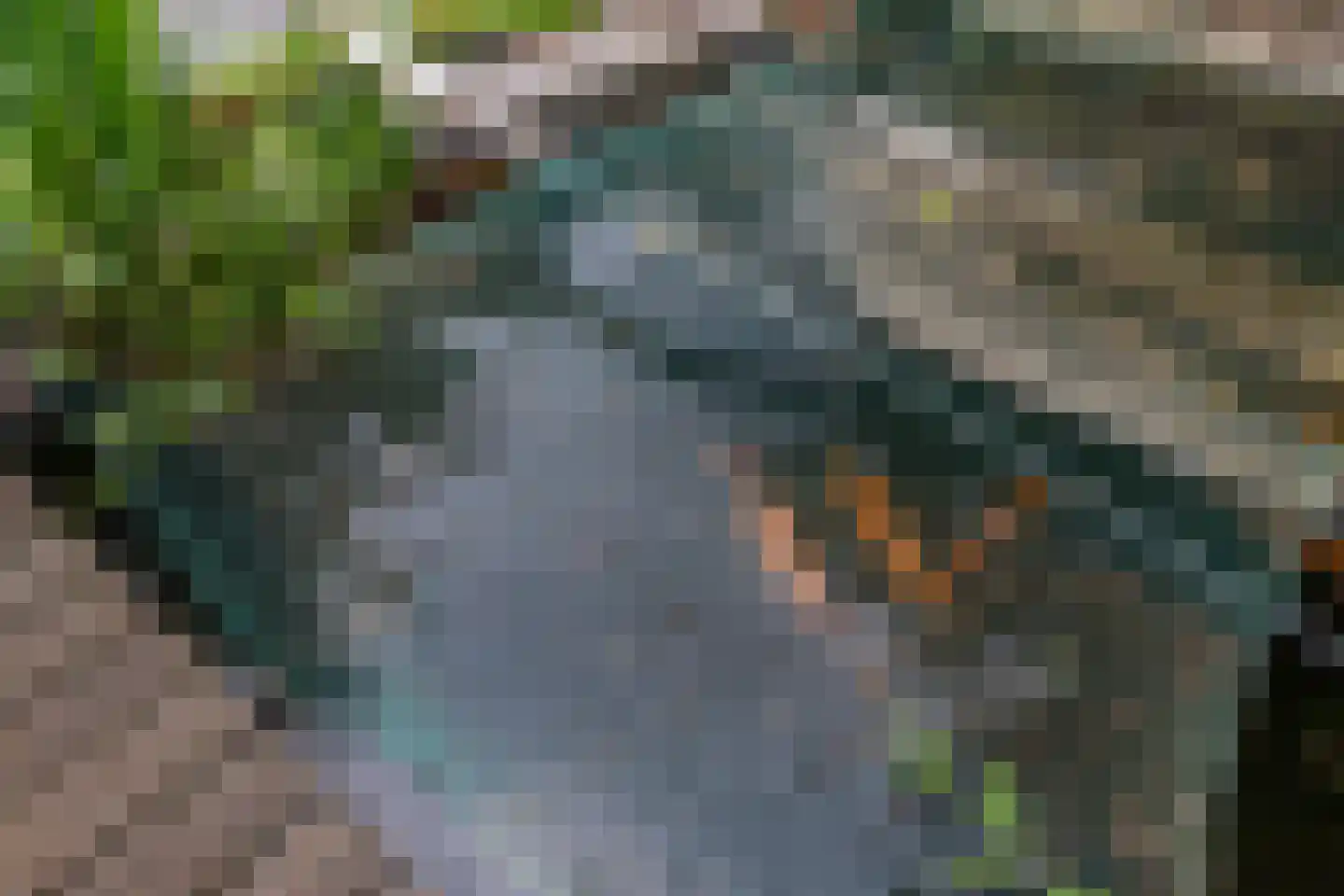 Madeweg 29 Monster thumbnail 50
