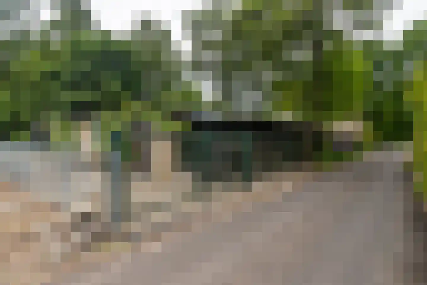 Madeweg 29 Monster thumbnail 51