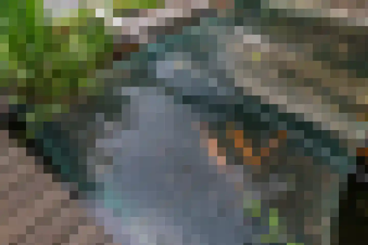 Madeweg 29 Monster thumbnail 55