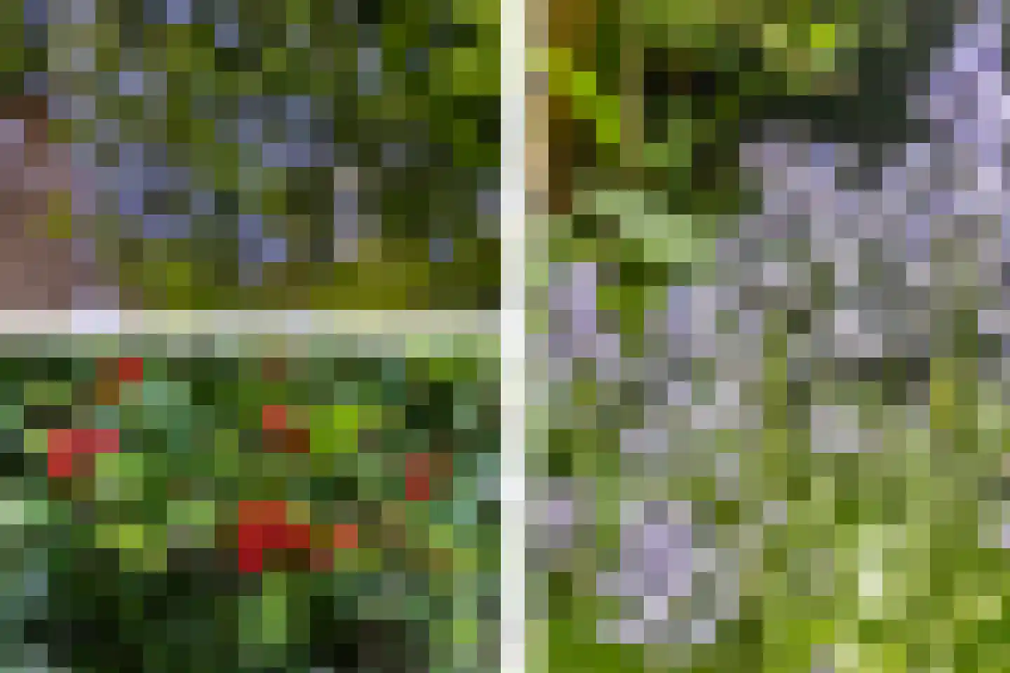 Madeweg 29 Monster thumbnail 57