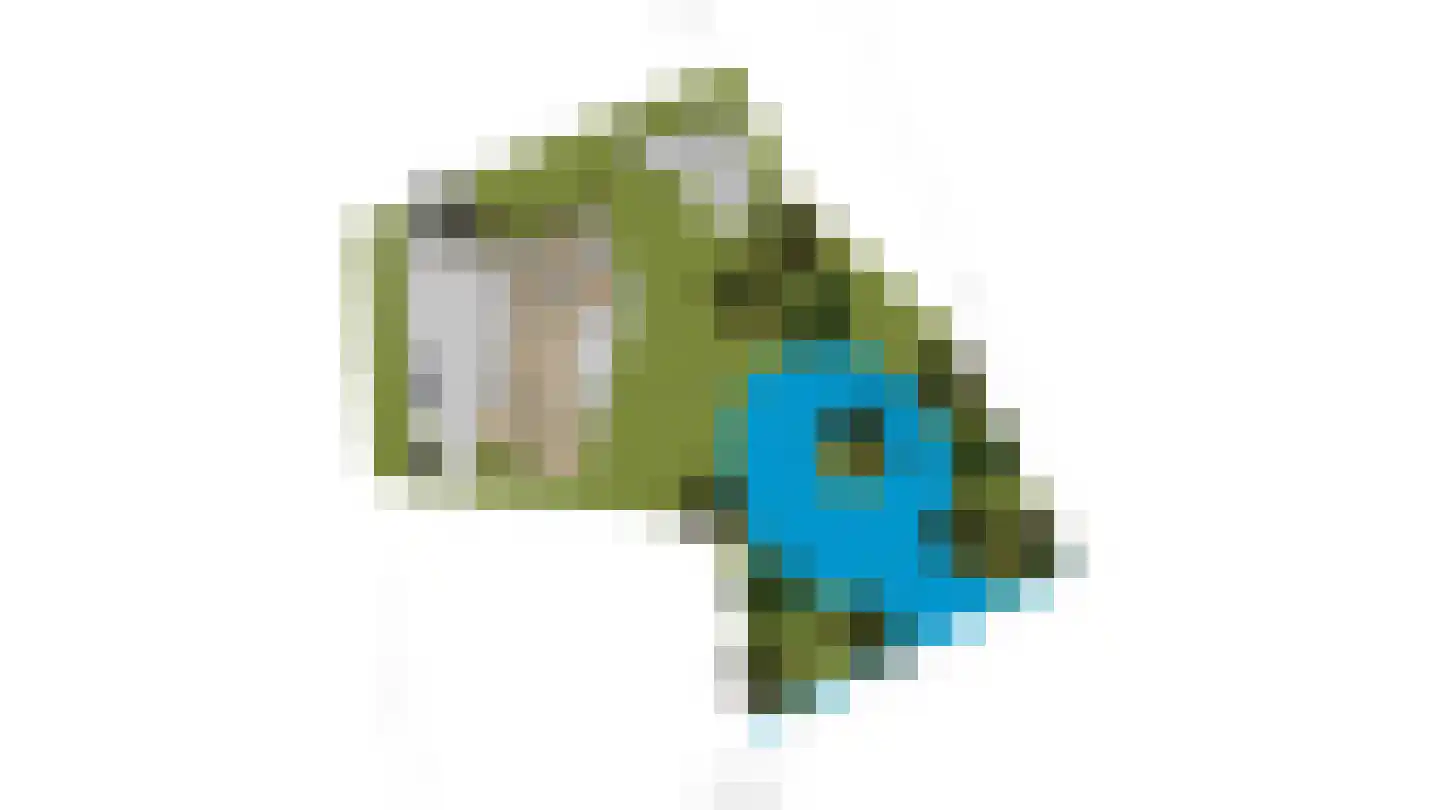 Madeweg 29 Monster thumbnail 57