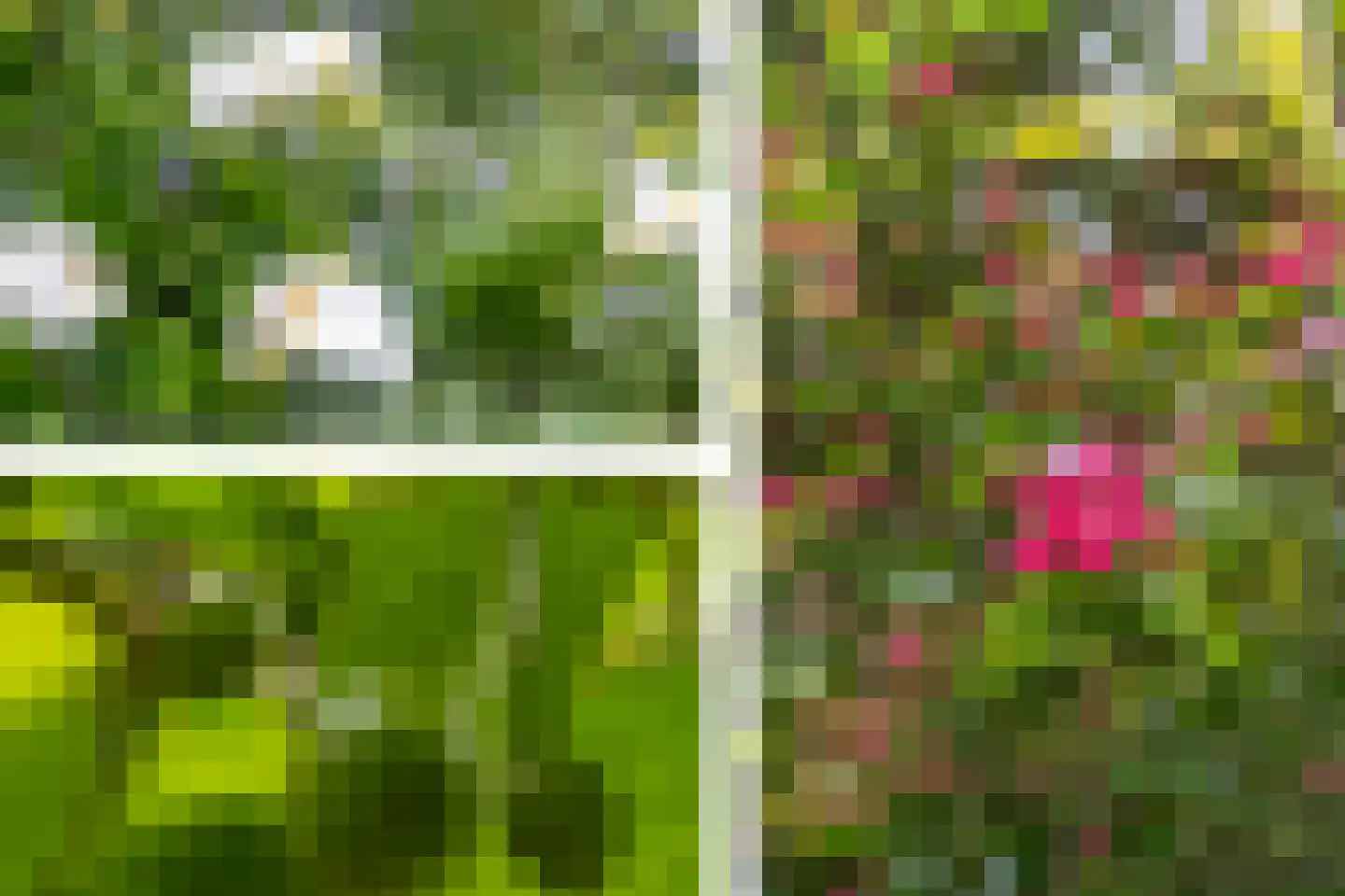 Madeweg 29 Monster thumbnail 58