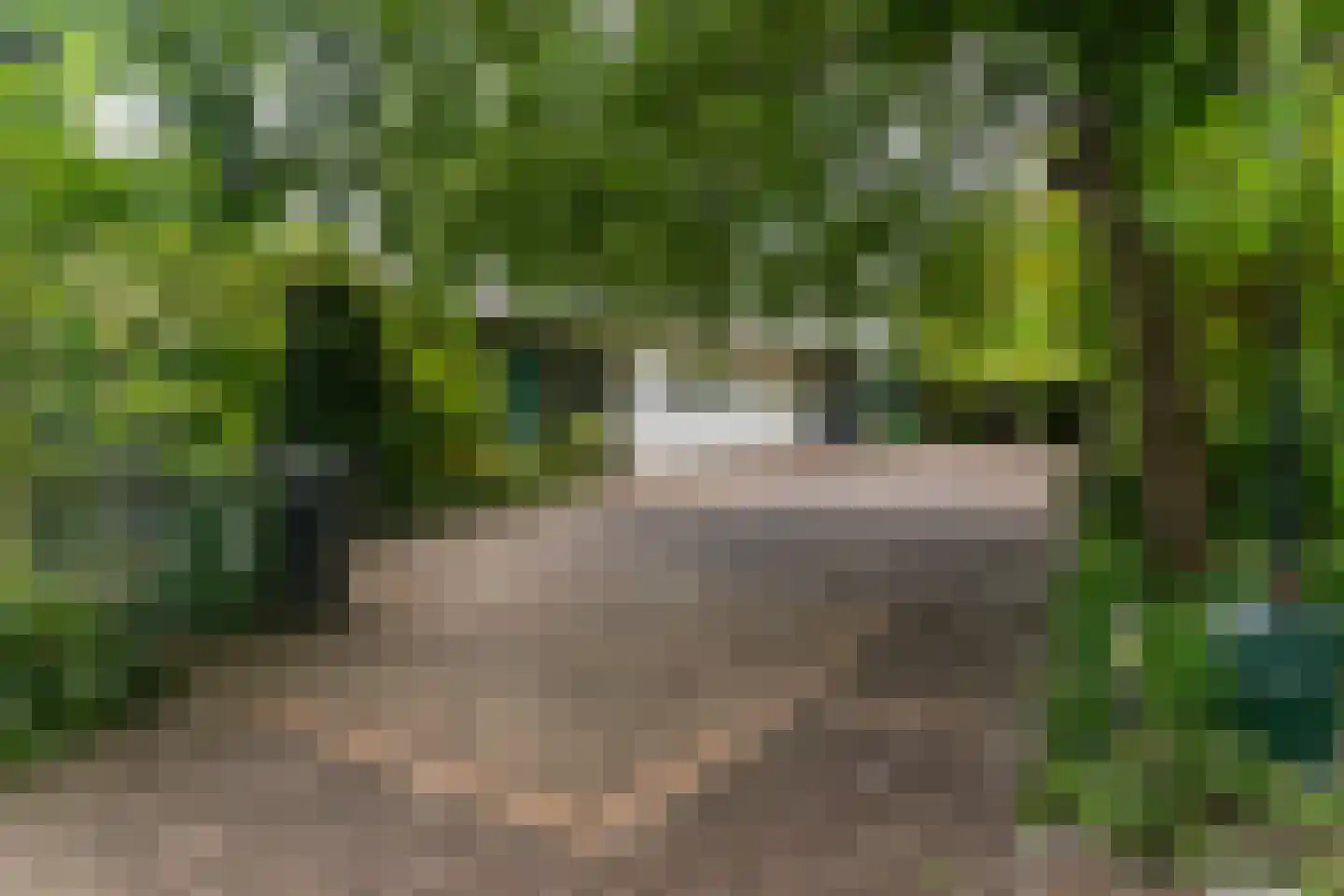Madeweg 29 Monster thumbnail 59