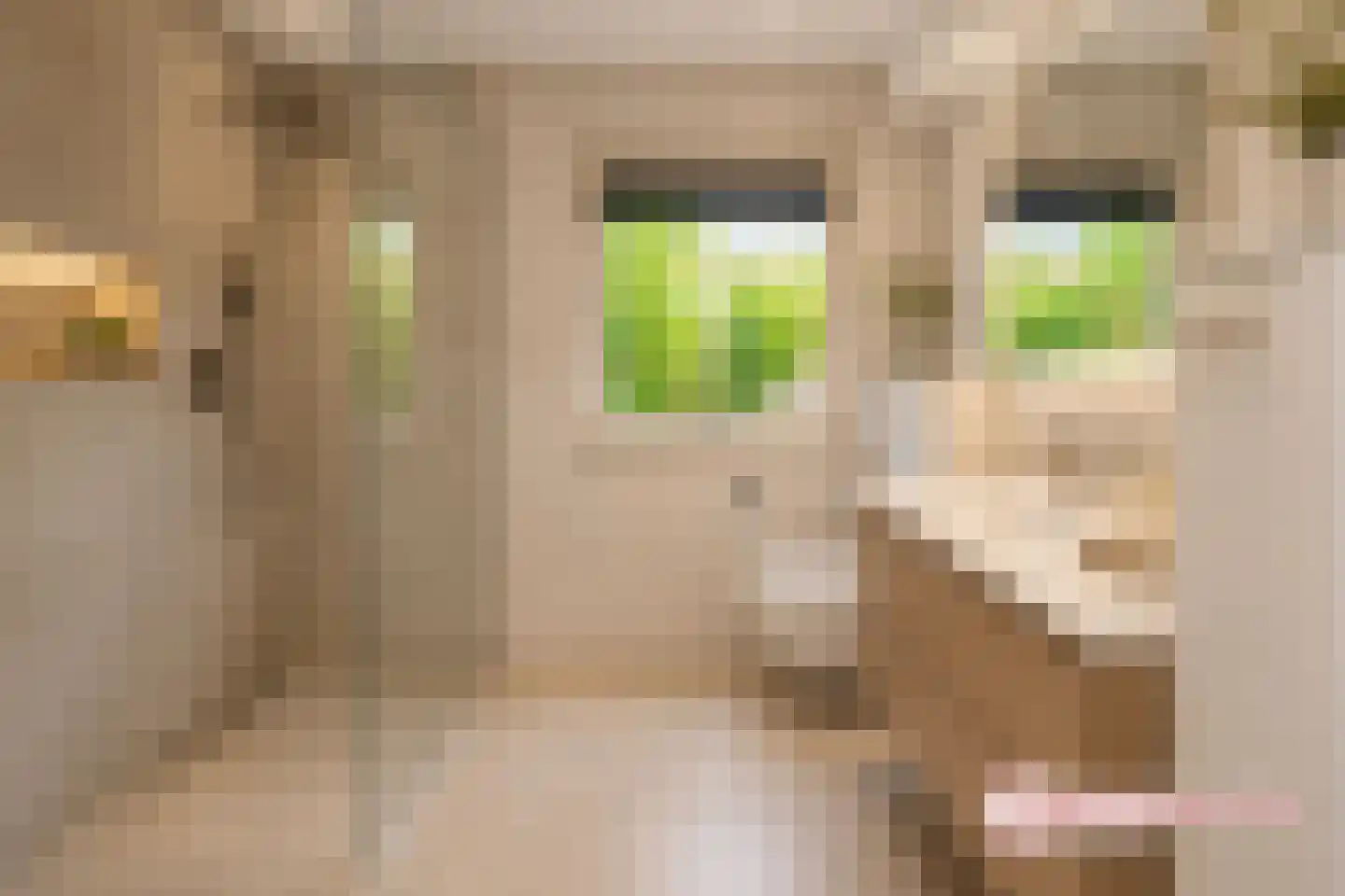 Madeweg 29 Monster thumbnail 6