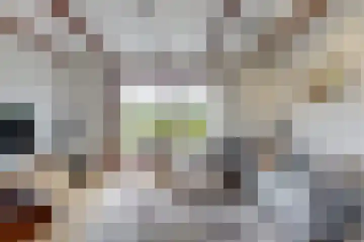 Madeweg 5 Castricum thumbnail 13