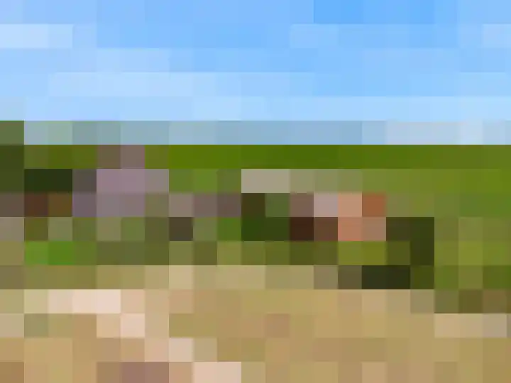 Madeweg 5 Castricum thumbnail 4