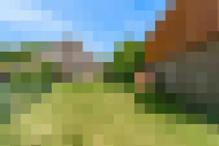 Madeweg 5 Castricum thumbnail 45