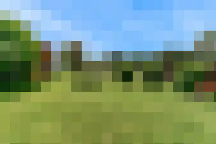 Madeweg 5 Castricum thumbnail 46