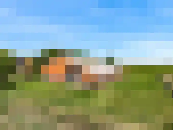 Madeweg 5 Castricum thumbnail 51