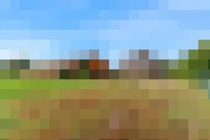 Madeweg 5 Castricum thumbnail 62