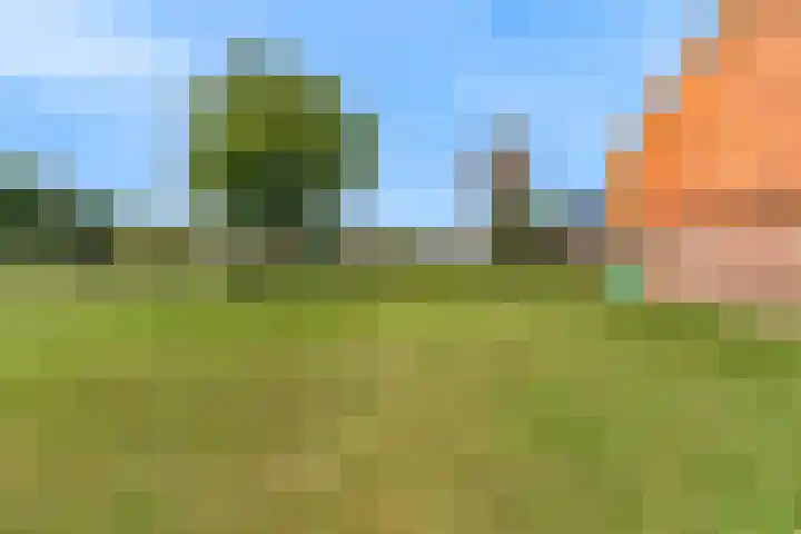 Madeweg 5 Castricum thumbnail 65