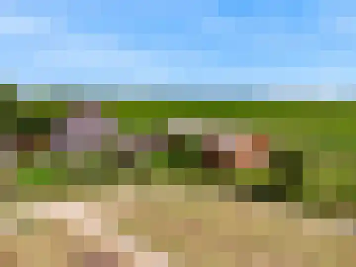 Madeweg 5 Castricum thumbnail 68