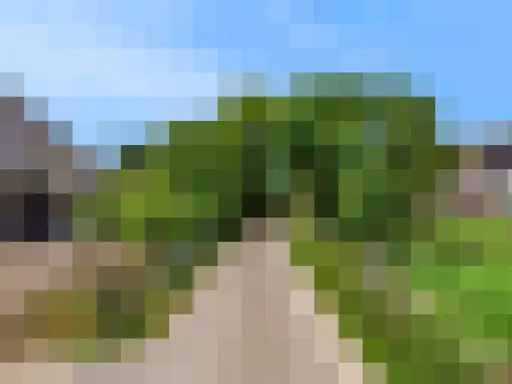 Madeweg 5 Castricum thumbnail 70