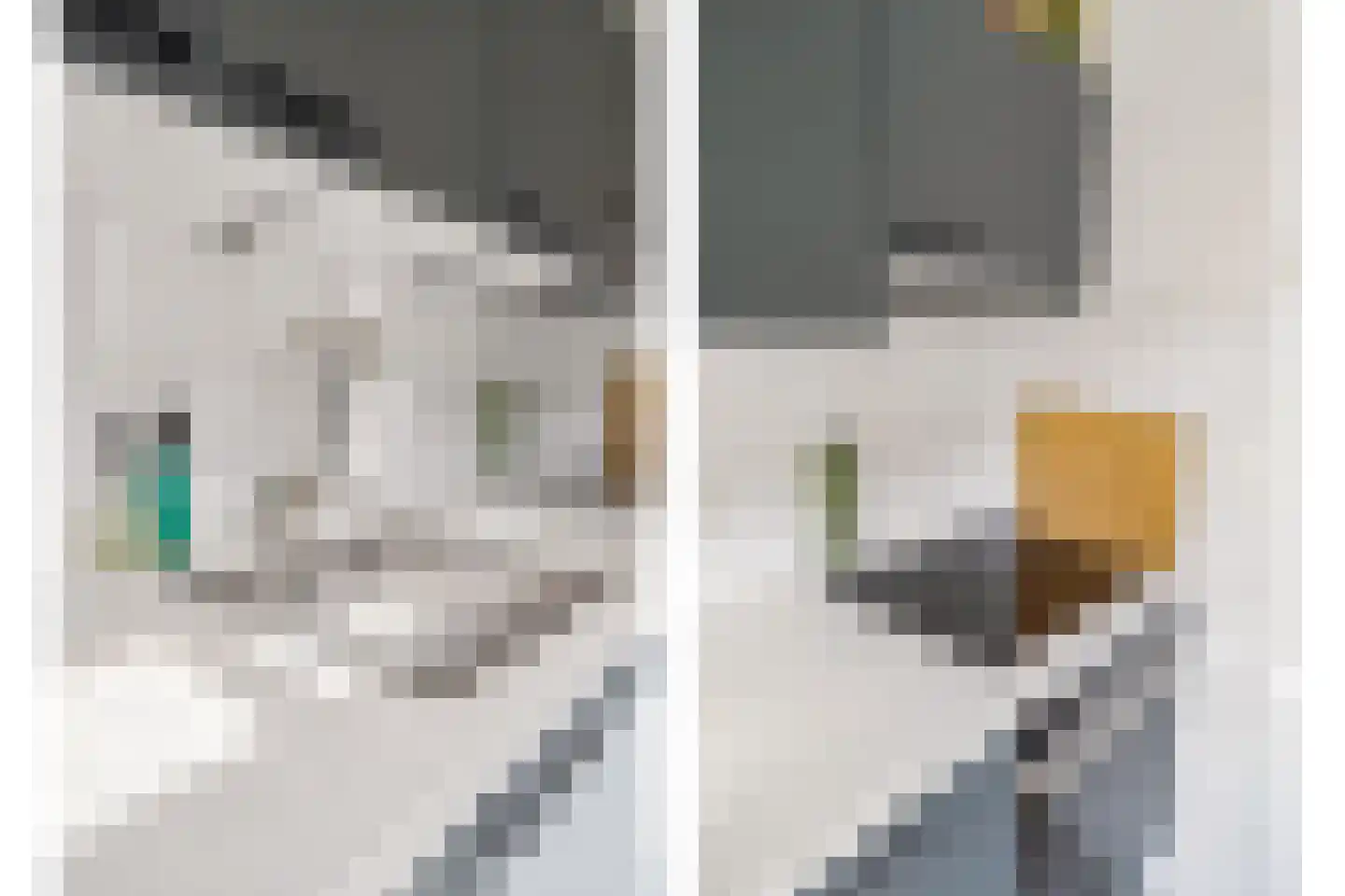 Madioenstraat 6 Utrecht thumbnail 21