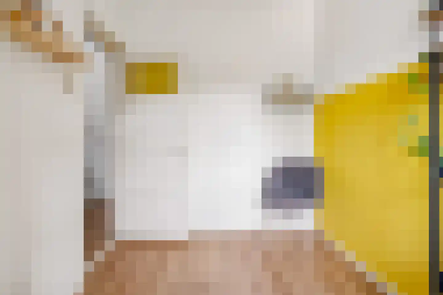 Madioenstraat 6 Utrecht thumbnail 33