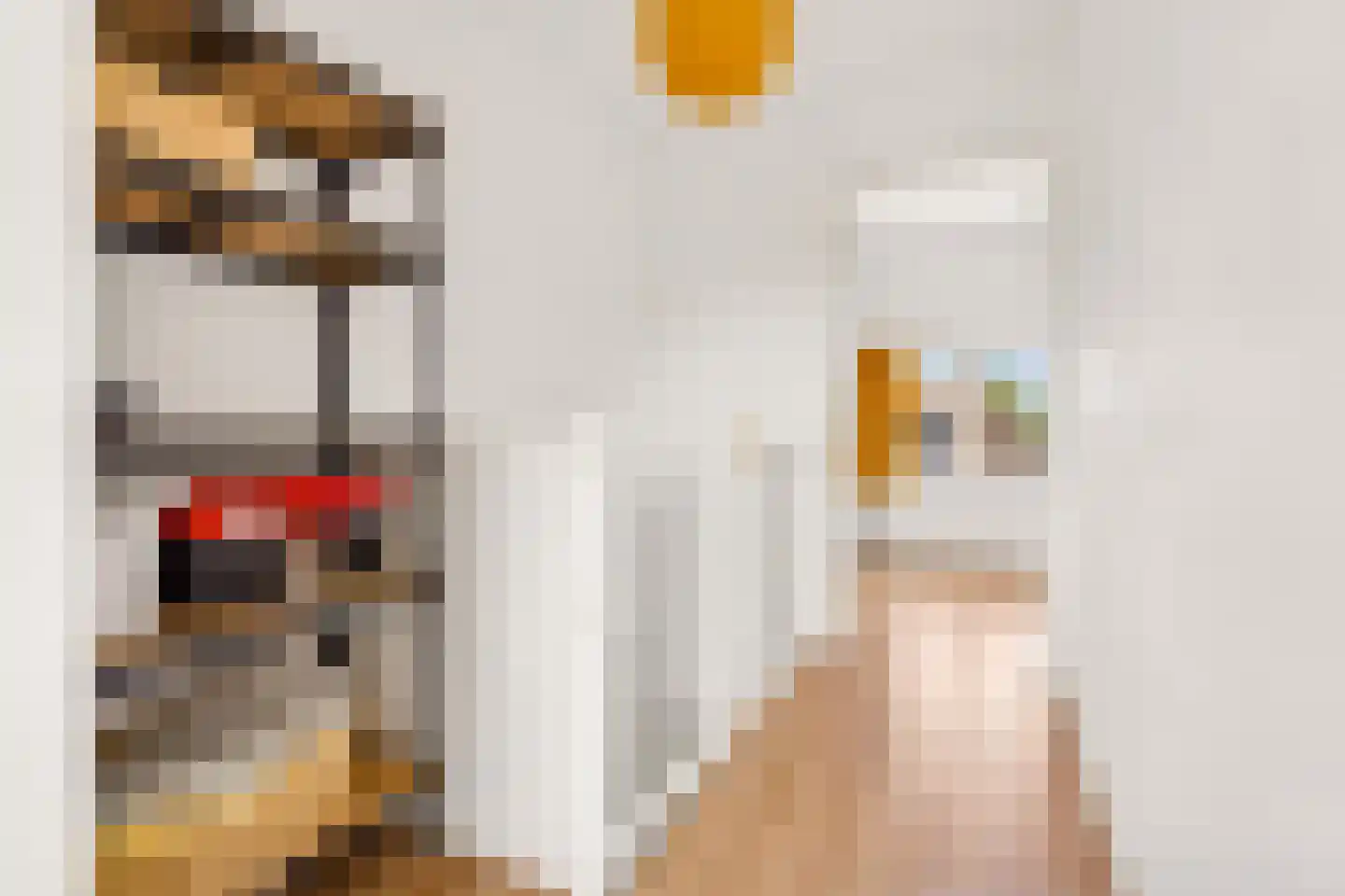 Madioenstraat 6 Utrecht thumbnail 42