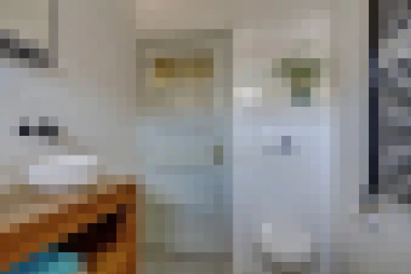 Madioenstraat 7 Utrecht thumbnail 26