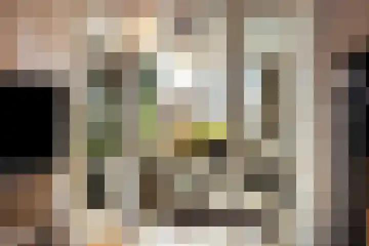 Madioenstraat 87 Enschede thumbnail 10