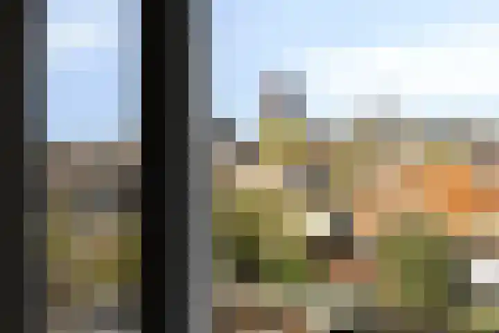 Madioenstraat 87 Enschede thumbnail 32