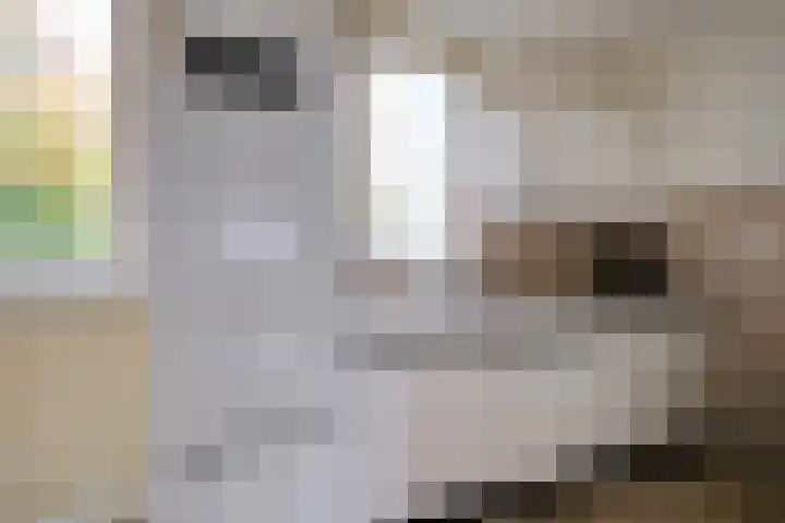 Madoeralaan 27 Ede thumbnail 11