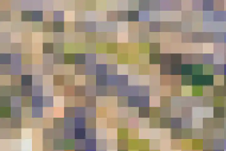Madoeralaan 30 Ede thumbnail 28