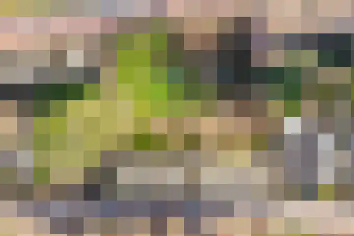 Madoeralaan 30 Ede thumbnail 29