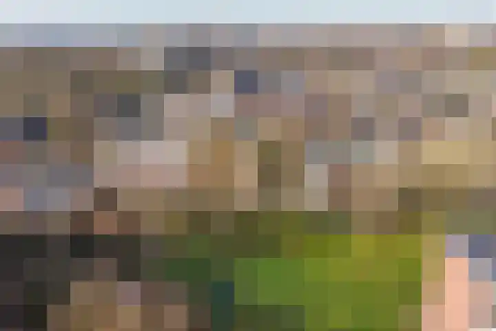 Madoeralaan 30 Ede thumbnail 30