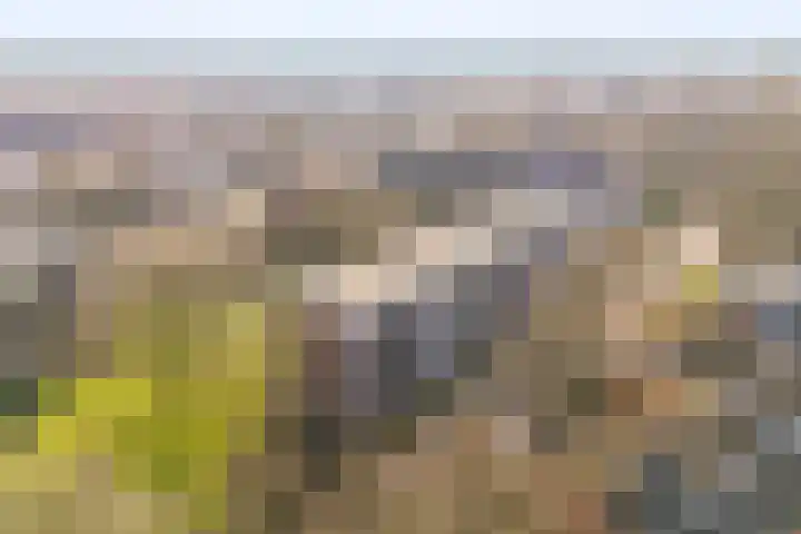 Madoeralaan 30 Ede thumbnail 31